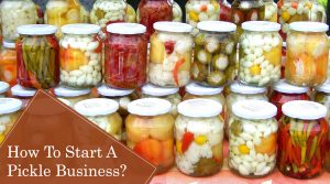 Read more about the article How To Start A Pickle Business: A Good Way To Earn From Home