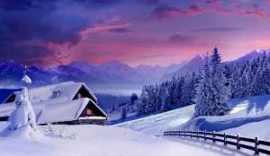 Read more about the article Top 10 Profitable Winter Business Ideas in the USA